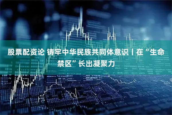 股票配资论 铸牢中华民族共同体意识丨在“生命禁区”长出凝聚力